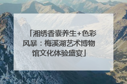 湘绣香囊养生+色彩风暴：梅溪湖艺术博物馆文化体验盛宴
