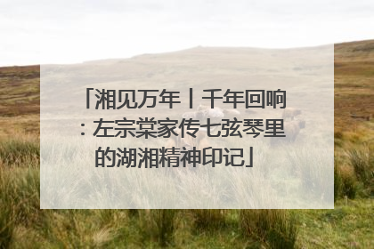 湘见万年丨千年回响：左宗棠家传七弦琴里的湖湘精神印记