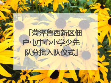 菏泽鲁西新区佃户屯中心小学少先队分批入队仪式