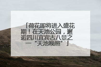 荷花即将进入盛花期！在天池公园，邂逅四川宜宾古八景之一“天池晚照”