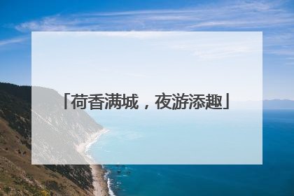 荷香满城，夜游添趣