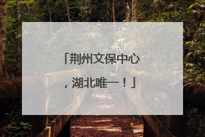 荆州文保中心，湖北唯一！