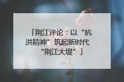 荆江评论：以“抗洪精神”筑起新时代“荆江大堤”