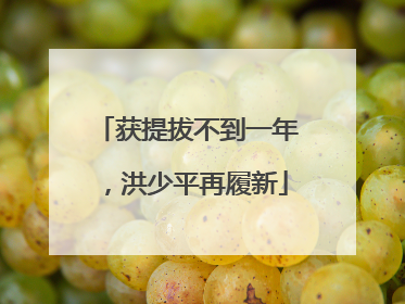 获提拔不到一年，洪少平再履新