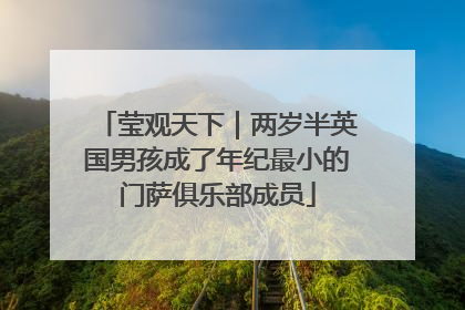 莹观天下｜两岁半英国男孩成了年纪最小的门萨俱乐部成员