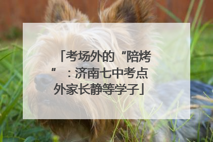 考场外的“陪烤”：济南七中考点外家长静等学子