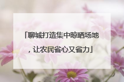 聊城打造集中晾晒场地，让农民省心又省力
