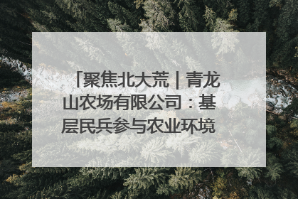 聚焦北大荒｜青龙山农场有限公司：基层民兵参与农业环境综合治理显效