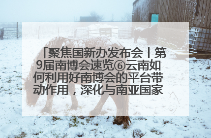 聚焦国新办发布会丨第9届南博会速览⑥云南如何利用好南博会的平台带动作用，深化与南亚国家的交流与合作？