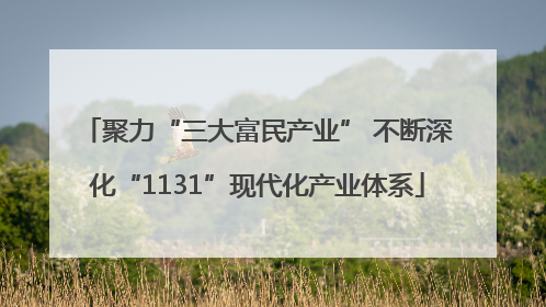 聚力“三大富民产业” 不断深化“1131”现代化产业体系