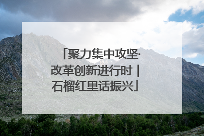 聚力集中攻坚·改革创新进行时｜石榴红里话振兴