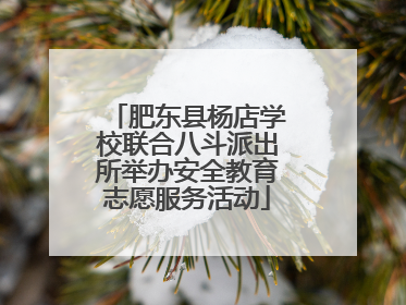 肥东县杨店学校联合八斗派出所举办安全教育志愿服务活动