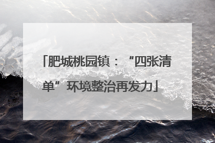 肥城桃园镇：“四张清单”环境整治再发力
