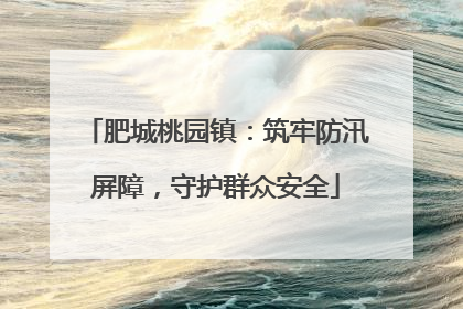 肥城桃园镇：筑牢防汛屏障，守护群众安全