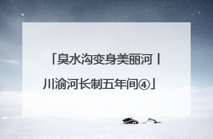 臭水沟变身美丽河丨川渝河长制五年间④