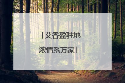 艾香盈驻地 浓情系万家