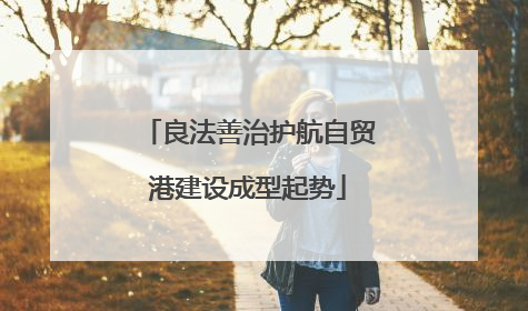 良法善治护航自贸港建设成型起势