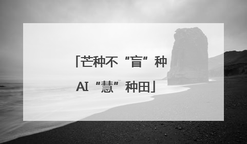 芒种不“盲”种 AI“慧”种田