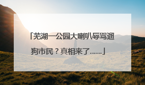 芜湖一公园大喇叭辱骂遛狗市民？真相来了……