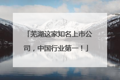 芜湖这家知名上市公司，中国行业第一！