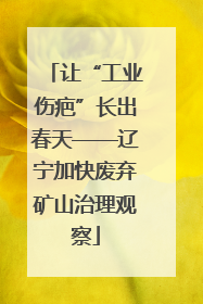 让“工业伤疤”长出春天——辽宁加快废弃矿山治理观察