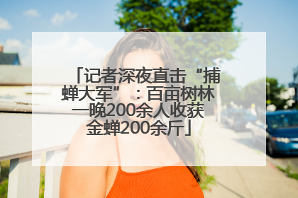 记者深夜直击“捕蝉大军”：百亩树林一晚200余人收获金蝉200余斤
