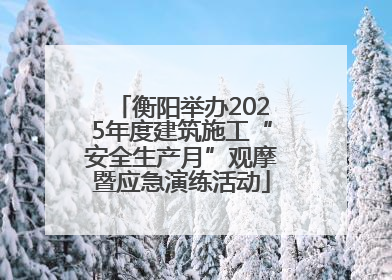 衡阳举办2025年度建筑施工“安全生产月”观摩暨应急演练活动