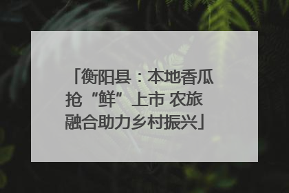 衡阳县：本地香瓜抢“鲜”上市 农旅融合助力乡村振兴