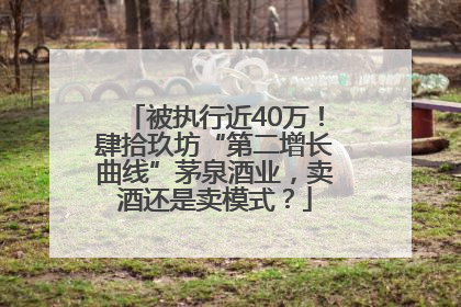 被执行近40万！肆拾玖坊“第二增长曲线”茅泉酒业，卖酒还是卖模式？