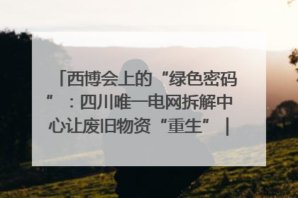 西博会上的“绿色密码”：四川唯一电网拆解中心让废旧物资“重生”｜西博寻“新”记