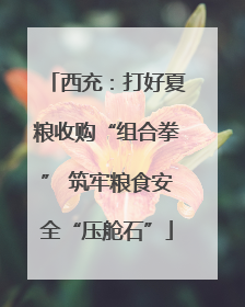 西充：打好夏粮收购“组合拳” 筑牢粮食安全“压舱石”