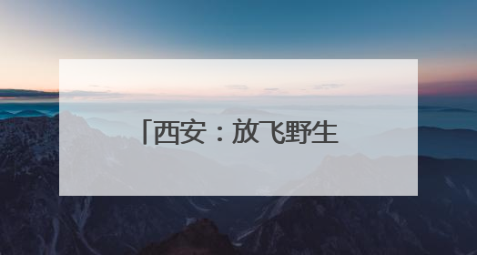 西安：放飞野生鸟类回归自然
