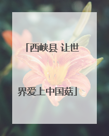 西峡县 让世界爱上中国菇