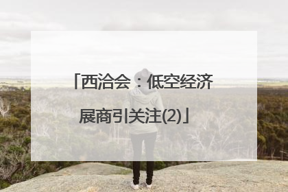 西洽会：低空经济展商引关注(2)