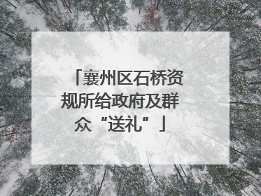 襄州区石桥资规所给政府及群众“送礼”
