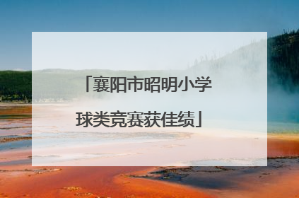 襄阳市昭明小学球类竞赛获佳绩