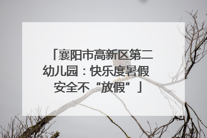襄阳市高新区第二幼儿园：快乐度暑假 安全不“放假”