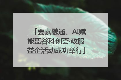 要素融通、AI赋能蓝谷科创荟·政服益企活动成功举行
