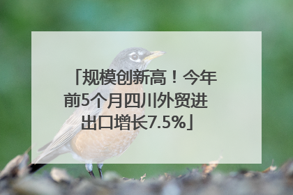 规模创新高！今年前5个月四川外贸进出口增长7.5%