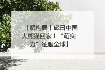 解构局丨旅日中国大熊猫回家！“萌实力”征服全球
