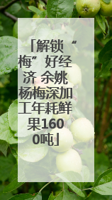 解锁“梅”好经济 余姚杨梅深加工年耗鲜果1600吨