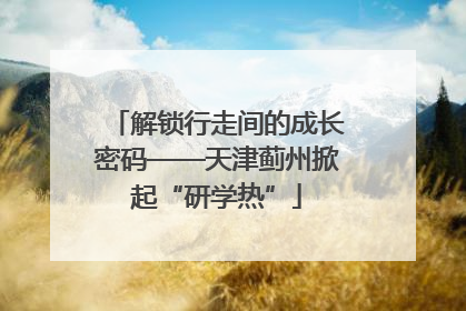 解锁行走间的成长密码——天津蓟州掀起“研学热”