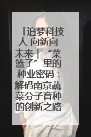 追梦科技人 向新向未来｜“菜篮子”里的种业密码：解码南京蔬菜分子育种的创新之路
