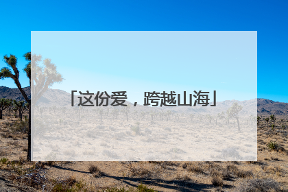 这份爱，跨越山海