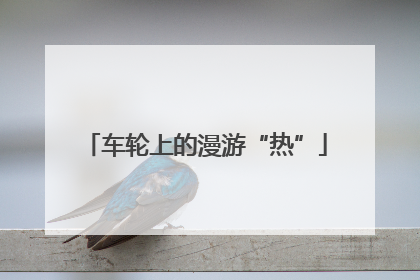 车轮上的漫游“热”