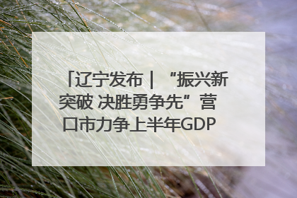 辽宁发布｜“振兴新突破 决胜勇争先”营口市力争上半年GDP增长6%左右