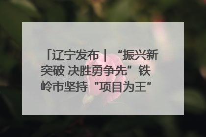 辽宁发布｜“振兴新突破 决胜勇争先”铁岭市坚持“项目为王”推进经济高质量发展