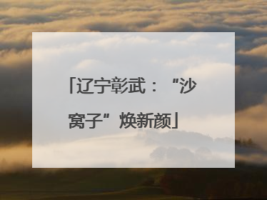 辽宁彰武：“沙窝子”焕新颜