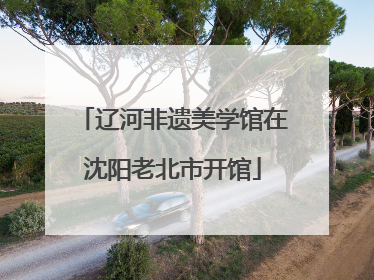 辽河非遗美学馆在沈阳老北市开馆