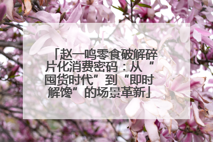 赵一鸣零食破解碎片化消费密码：从“囤货时代”到“即时解馋”的场景革新